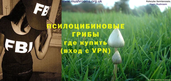 MESCALINE Краснослободск