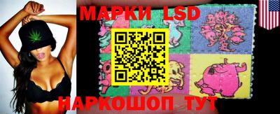 mdpv Камышлов