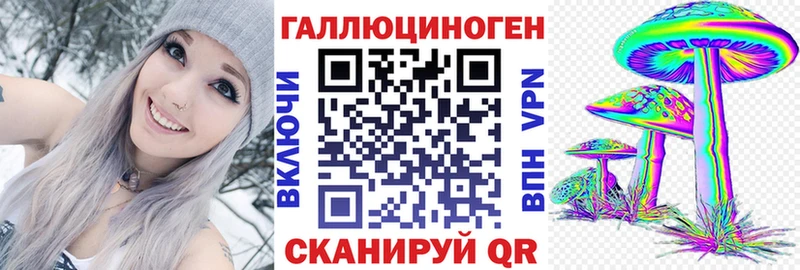 наркота  Сызрань  Псилоцибиновые грибы Cubensis 
