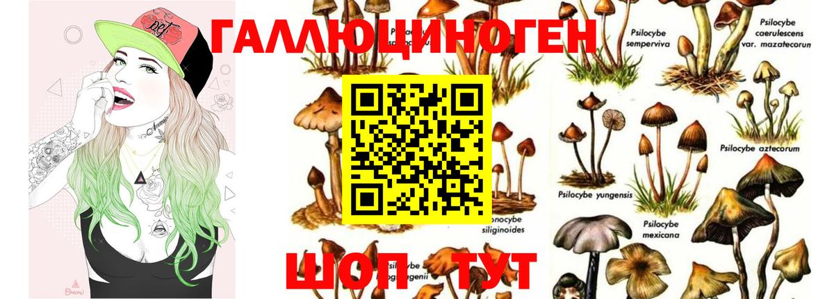 Псилоцибиновые грибы GOLDEN TEACHER Сызрань