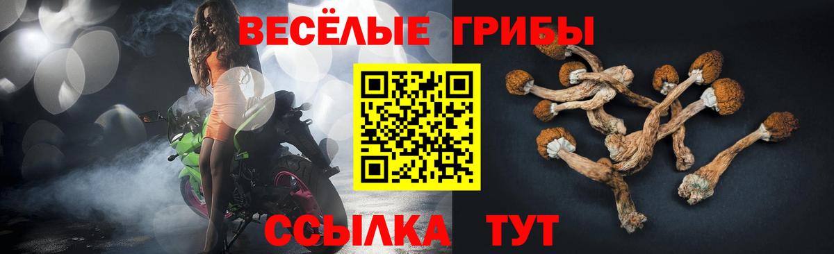 Галлюциногенные грибы MAGIC MUSHROOMS  закладка  Сызрань  Вход с VPN 